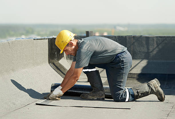 Best Insulation Installation Services in Prescott, AR