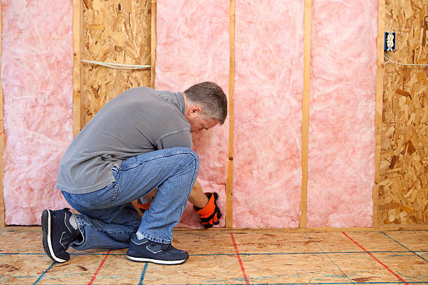Best Residential Insulation in Prescott, AR