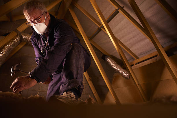 Best Insulation Installation Services in Prescott, AR